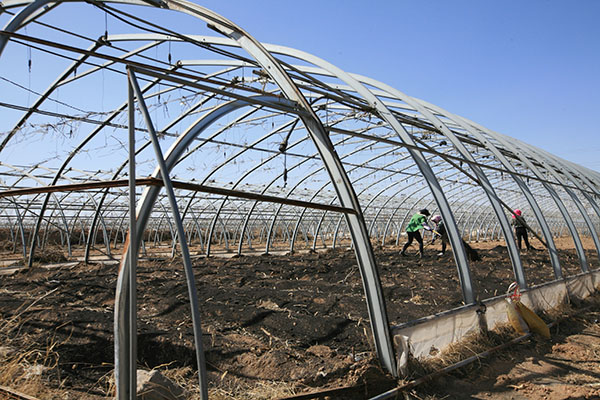 西瓜种植基地（建设中）