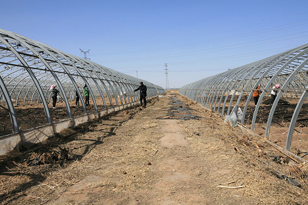 西瓜种植基地（建设中）