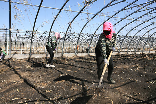 西瓜种植基地（建设中）